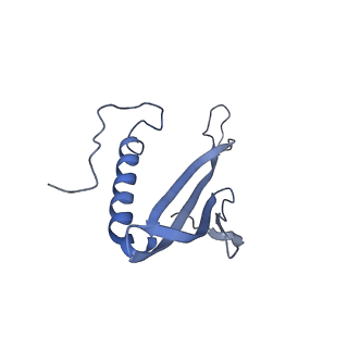 41657_8tw2_FH_v1-0
Acinetobacter phage AP205 T=4 VLP