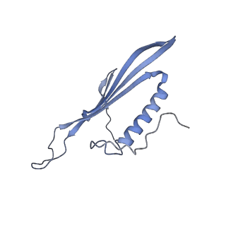 41657_8tw2_FJ_v1-0
Acinetobacter phage AP205 T=4 VLP