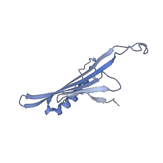 41657_8tw2_FK_v1-0
Acinetobacter phage AP205 T=4 VLP