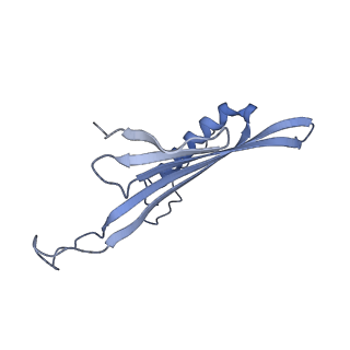 41657_8tw2_FR_v1-0
Acinetobacter phage AP205 T=4 VLP