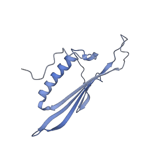 41657_8tw2_FS_v1-0
Acinetobacter phage AP205 T=4 VLP