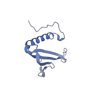 41657_8tw2_FU_v1-0
Acinetobacter phage AP205 T=4 VLP