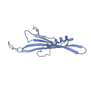 41657_8tw2_FV_v1-0
Acinetobacter phage AP205 T=4 VLP