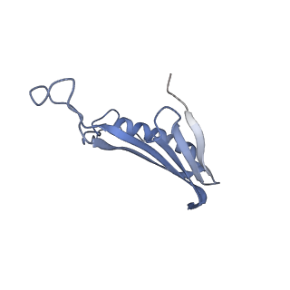 41657_8tw2_FX_v1-0
Acinetobacter phage AP205 T=4 VLP