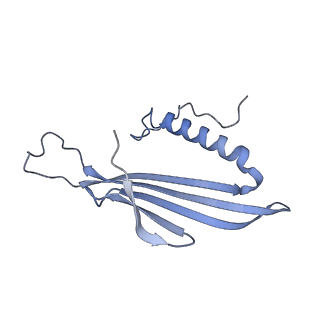 41657_8tw2_GD_v1-0
Acinetobacter phage AP205 T=4 VLP