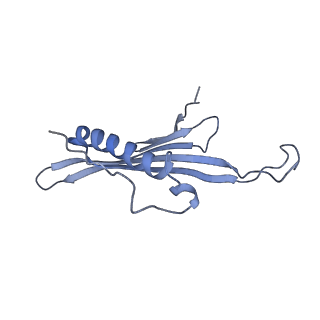 41657_8tw2_GE_v1-0
Acinetobacter phage AP205 T=4 VLP