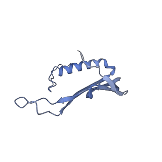 41657_8tw2_GF_v1-0
Acinetobacter phage AP205 T=4 VLP