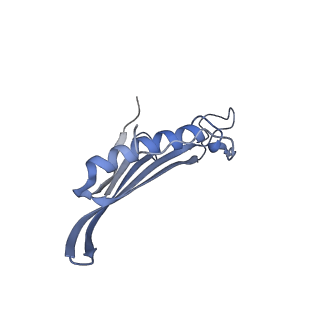 41657_8tw2_GG_v1-0
Acinetobacter phage AP205 T=4 VLP