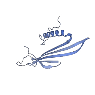 41657_8tw2_GH_v1-0
Acinetobacter phage AP205 T=4 VLP