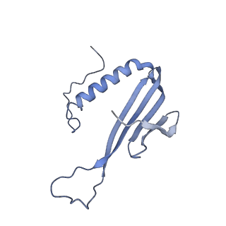 41657_8tw2_GK_v1-0
Acinetobacter phage AP205 T=4 VLP