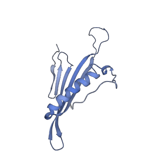 41657_8tw2_GL_v1-0
Acinetobacter phage AP205 T=4 VLP