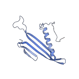 41657_8tw2_GO_v1-0
Acinetobacter phage AP205 T=4 VLP