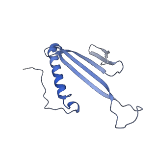 41657_8tw2_GP_v1-0
Acinetobacter phage AP205 T=4 VLP