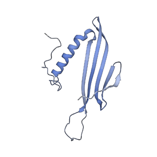 41657_8tw2_GS_v1-0
Acinetobacter phage AP205 T=4 VLP