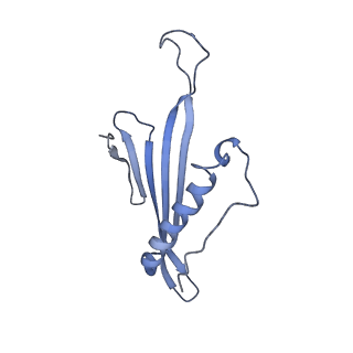 41657_8tw2_GT_v1-0
Acinetobacter phage AP205 T=4 VLP