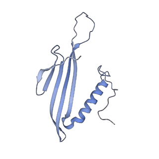 41657_8tw2_GU_v1-0
Acinetobacter phage AP205 T=4 VLP