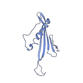 41657_8tw2_GV_v1-0
Acinetobacter phage AP205 T=4 VLP