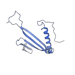 41657_8tw2_GW_v1-0
Acinetobacter phage AP205 T=4 VLP