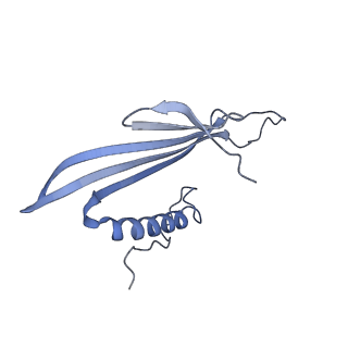 41657_8tw2_HA_v1-0
Acinetobacter phage AP205 T=4 VLP