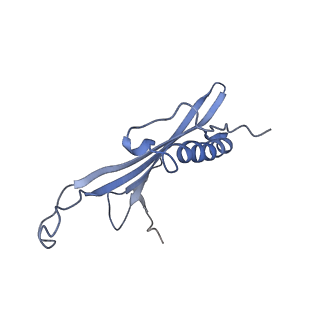 41657_8tw2_HB_v1-0
Acinetobacter phage AP205 T=4 VLP