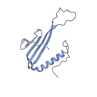 41657_8tw2_HC_v1-0
Acinetobacter phage AP205 T=4 VLP
