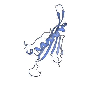 41657_8tw2_HD_v1-0
Acinetobacter phage AP205 T=4 VLP