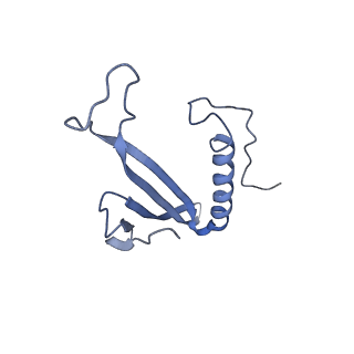 41657_8tw2_HE_v1-0
Acinetobacter phage AP205 T=4 VLP