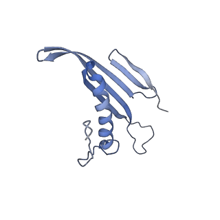 41657_8tw2_HF_v1-0
Acinetobacter phage AP205 T=4 VLP