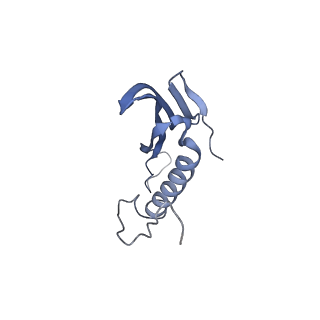 41657_8tw2_HG_v1-0
Acinetobacter phage AP205 T=4 VLP