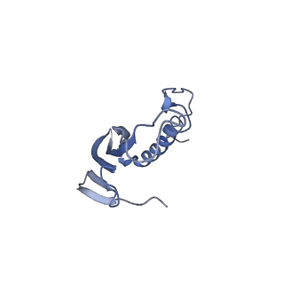 41657_8tw2_HI_v1-0
Acinetobacter phage AP205 T=4 VLP