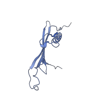 41657_8tw2_HK_v1-0
Acinetobacter phage AP205 T=4 VLP