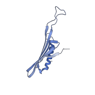 41657_8tw2_HL_v1-0
Acinetobacter phage AP205 T=4 VLP