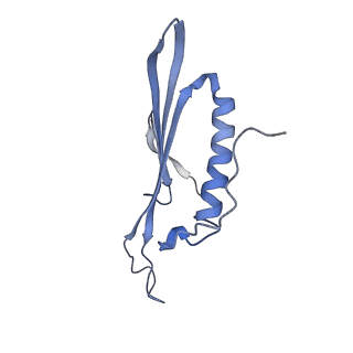 41657_8tw2_HM_v1-0
Acinetobacter phage AP205 T=4 VLP