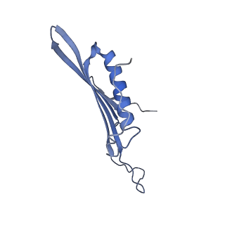 41657_8tw2_HN_v1-0
Acinetobacter phage AP205 T=4 VLP