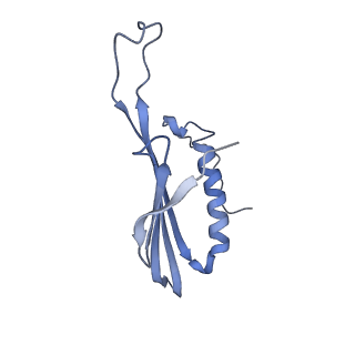 41657_8tw2_HO_v1-0
Acinetobacter phage AP205 T=4 VLP