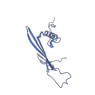 41657_8tw2_HS_v1-0
Acinetobacter phage AP205 T=4 VLP