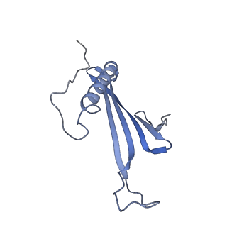 41657_8tw2_HT_v1-0
Acinetobacter phage AP205 T=4 VLP