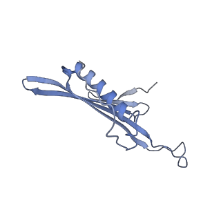 41657_8tw2_HV_v1-0
Acinetobacter phage AP205 T=4 VLP