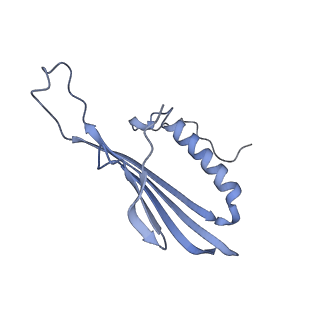 41657_8tw2_HW_v1-0
Acinetobacter phage AP205 T=4 VLP