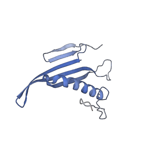 41657_8tw2_HX_v1-0
Acinetobacter phage AP205 T=4 VLP