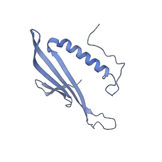 41657_8tw2_IB_v1-0
Acinetobacter phage AP205 T=4 VLP