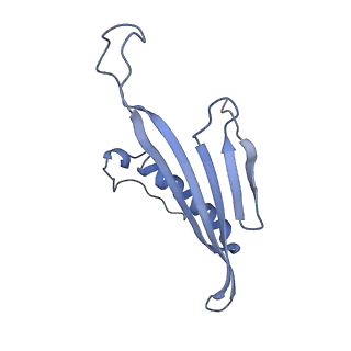 41657_8tw2_IC_v1-0
Acinetobacter phage AP205 T=4 VLP