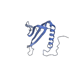 41657_8tw2_ID_v1-0
Acinetobacter phage AP205 T=4 VLP