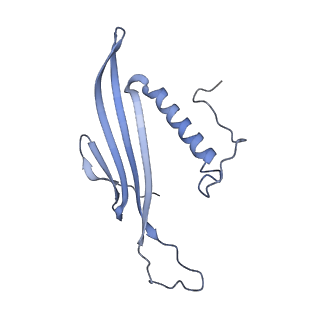 41657_8tw2_IF_v1-0
Acinetobacter phage AP205 T=4 VLP