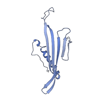 41657_8tw2_IG_v1-0
Acinetobacter phage AP205 T=4 VLP