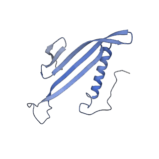 41657_8tw2_IH_v1-0
Acinetobacter phage AP205 T=4 VLP