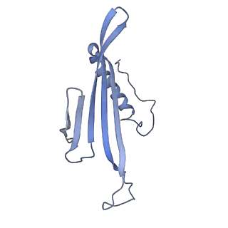 41657_8tw2_IN_v1-0
Acinetobacter phage AP205 T=4 VLP