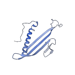 41657_8tw2_IQ_v1-0
Acinetobacter phage AP205 T=4 VLP