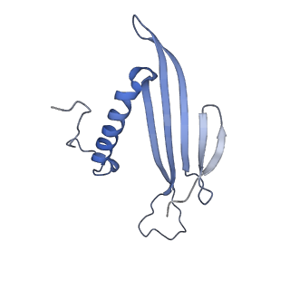 41657_8tw2_IS_v1-0
Acinetobacter phage AP205 T=4 VLP