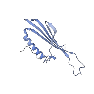 41657_8tw2_IU_v1-0
Acinetobacter phage AP205 T=4 VLP